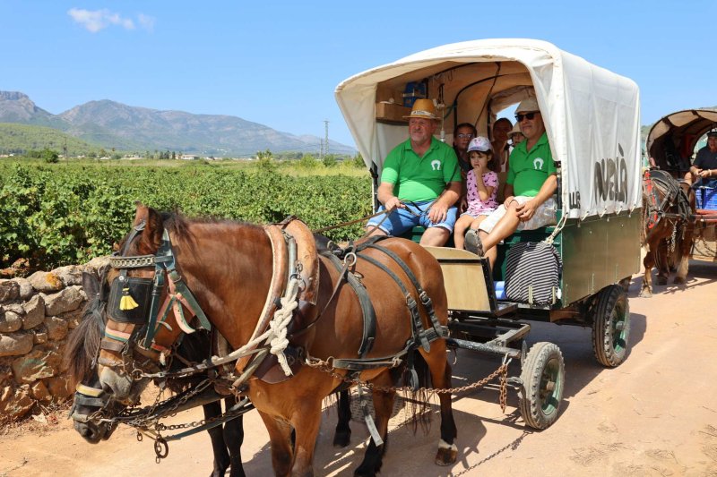 La presentació i l’entrada de la murta aporten l’ambient a l’arranc de les festes de Llíber La presentació i l’entrada de la murta aporten l’ambient a l’arranc de les festes de Llíber
